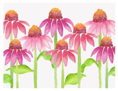 Coneflower Single Card