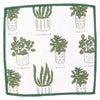 Herbs Dish Cloths Set