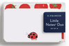Ladybug Little Notes with Tomato Envelopes Duo Set