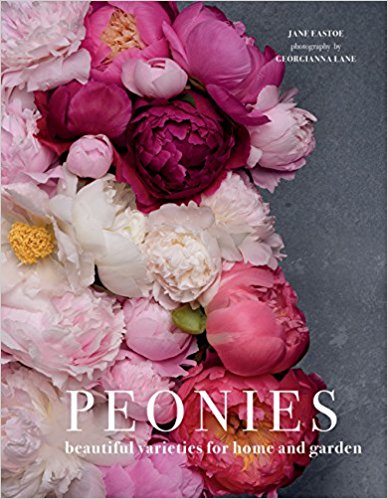 Peonies by Jane Eustoe