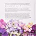 Hydrangeas by Naomi Slade and Georgianna Lane