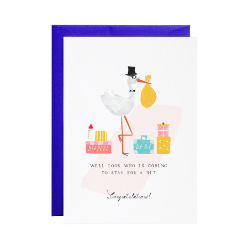 Stork's Suitcases Baby Greeting Card