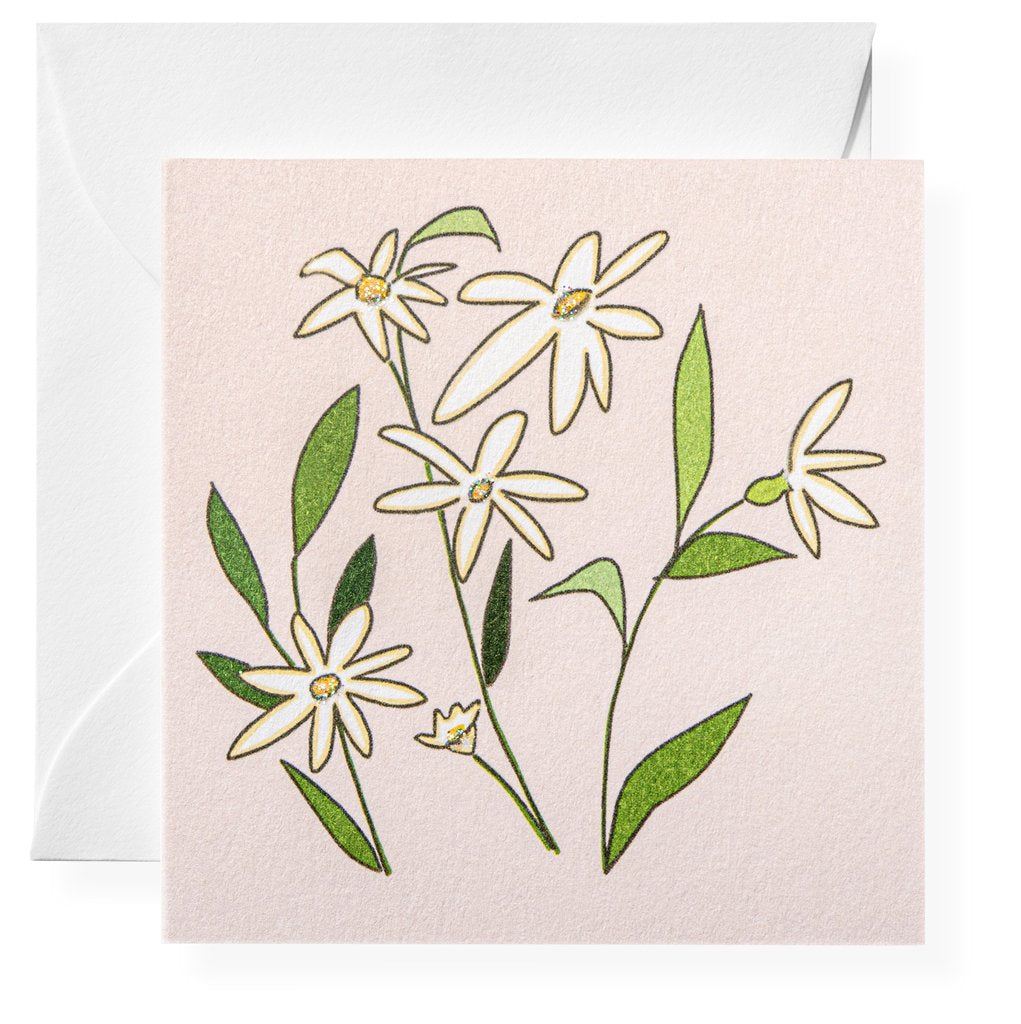 Daisies Gift Enclosure