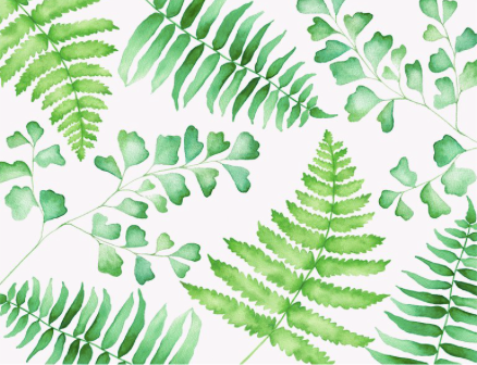 Fern Single Notecard