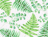 Fern Single Notecard